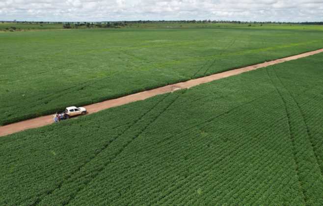 produtores-de-soja-de-mt-tem-ate-15-de-fevereiro-para-cadastrar-unidades-de-producao-no-indea