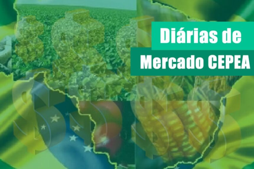 alface/cepea:-oferta-limitada-eleva-precos-no-atacado