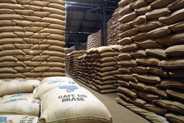 vbp-agropecuario-cresce-11%-com-o-cafe-atingindo-faturamento-recorde