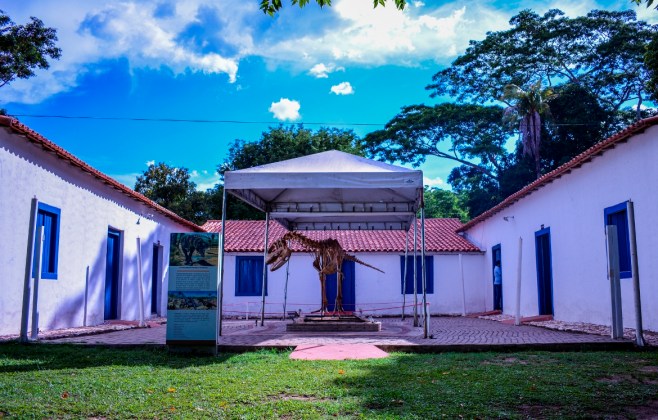 museu-de-historia-natural-oferece-atracoes-natalinas-e-inaugura-trilha-e-biblioteca