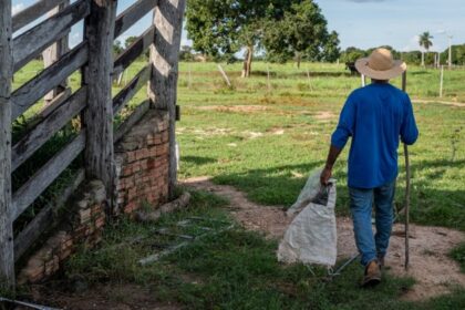 governo-de-mt-reforca-apoio-a-agricultura-familiar-com-mais-de-r$-700-milhoes-de-investimentos