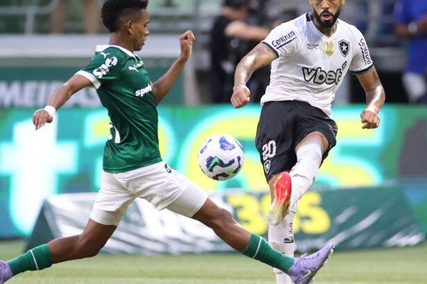 palmeiras-elimina-botafogo-e-avanca-na-copa-do-mundo-de-clubes-da-fifa