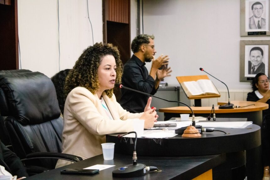 audiencia-publica-em-sinop-debate-o-futuro-da-agricultura-familiar-e-o-bem-viver-no-campo