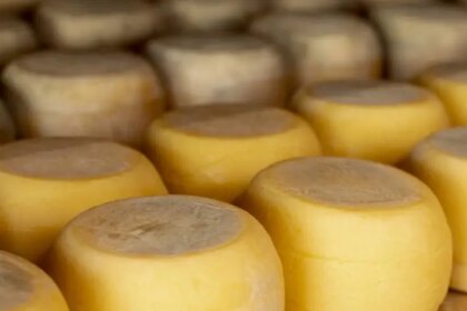 mato-grosso-brilha-no-premio-queijo-brasil-com-recorde-de-premiacoes-e-protagonismo-nacional