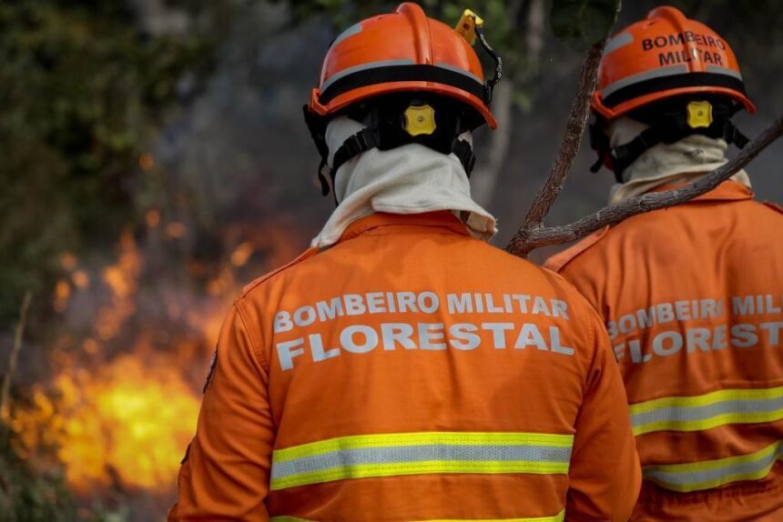 corpo-de-bombeiros-extingue-tres-incendios-florestais-e-combate-quatro-neste-sabado-(9)