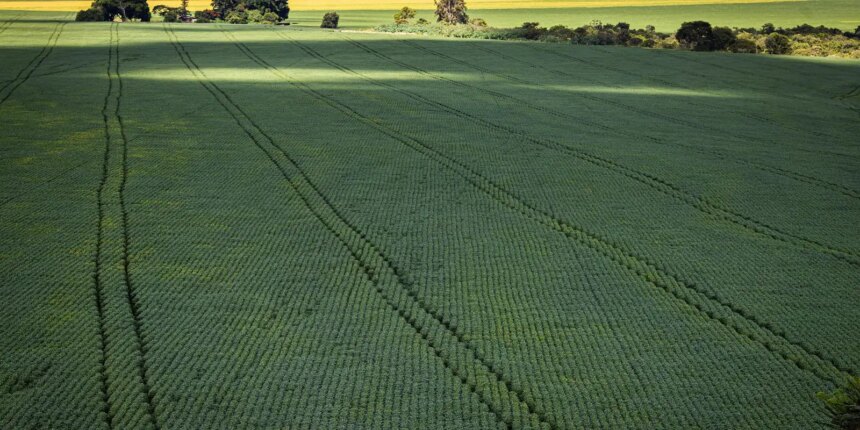 cop30:-agro-quer-se-posicionar-como-parte-da-solucao,-diz-associacao