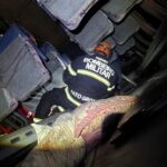 bombeiros-socorrem-34-vitimas-em-grave-acidente-na-serra-de-sao-vicente