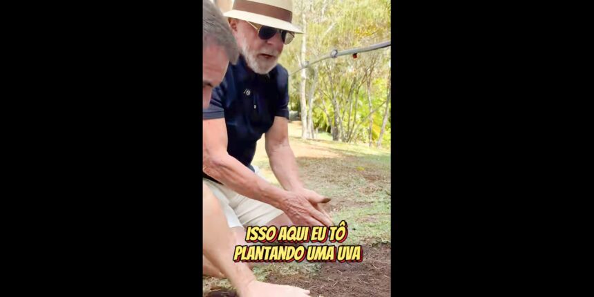 em-video-a-trump,-lula-planta-uva-e-diz-semear-comida-e-nao-odio
