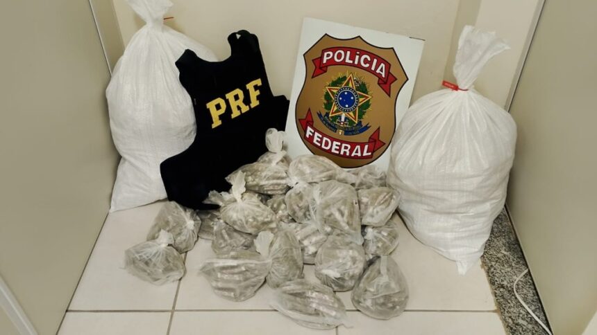pf-e-prf-prendem-homem-com-cerca-de-40-kg-de-maconha-em-casimiro-de-abreu/rj