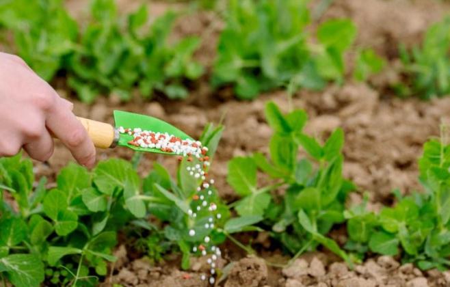 governo-do-estado-e-ufmt-firmam-parceria-para-estudo-sobre-a-cadeia-de-fertilizantes-em-mt