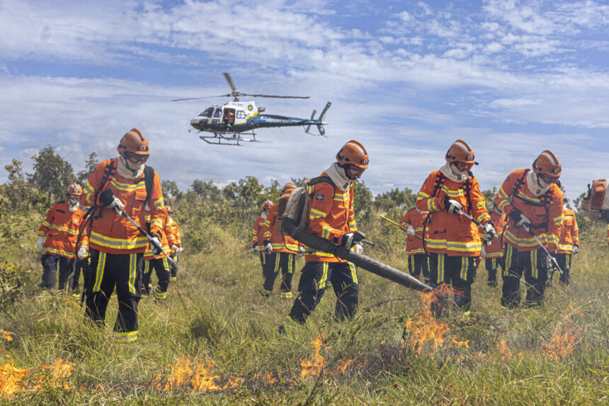 corpo-de-bombeiros-combate-oito-incendios-florestais-neste-sabado-(27)