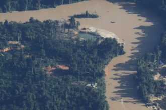 mpf-denuncia-mineracao-ilegal-na-amazonia-a-cidh